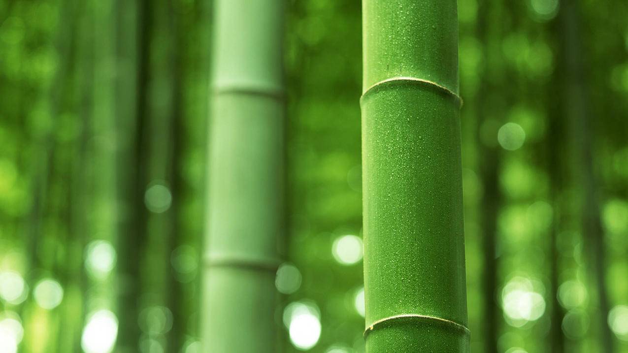 刷快手双击播放网站24小时在线,自助下单平台网站,评论点赞业务